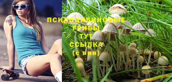СК Аркадак