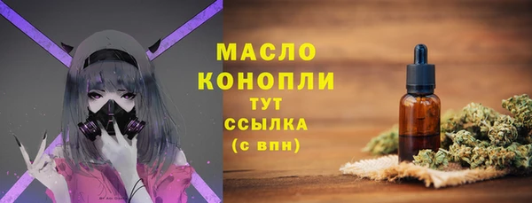 молекула духа Арсеньев