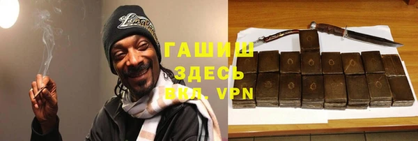 молекула духа Арсеньев