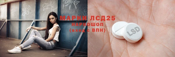 молекула духа Арсеньев
