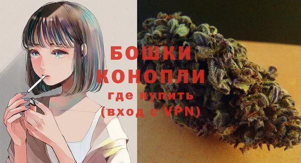 СК Аркадак
