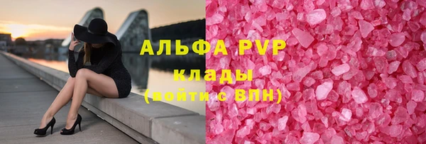 молекула духа Арсеньев