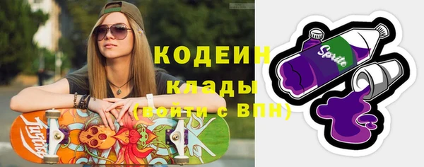 молекула духа Арсеньев