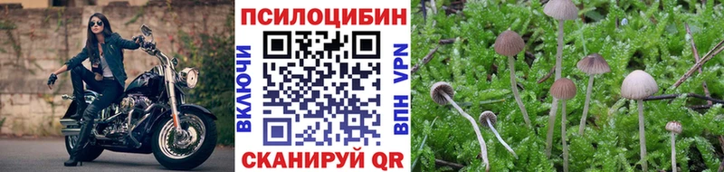 цена наркотик  Сосновый Бор  Галлюциногенные грибы мицелий 